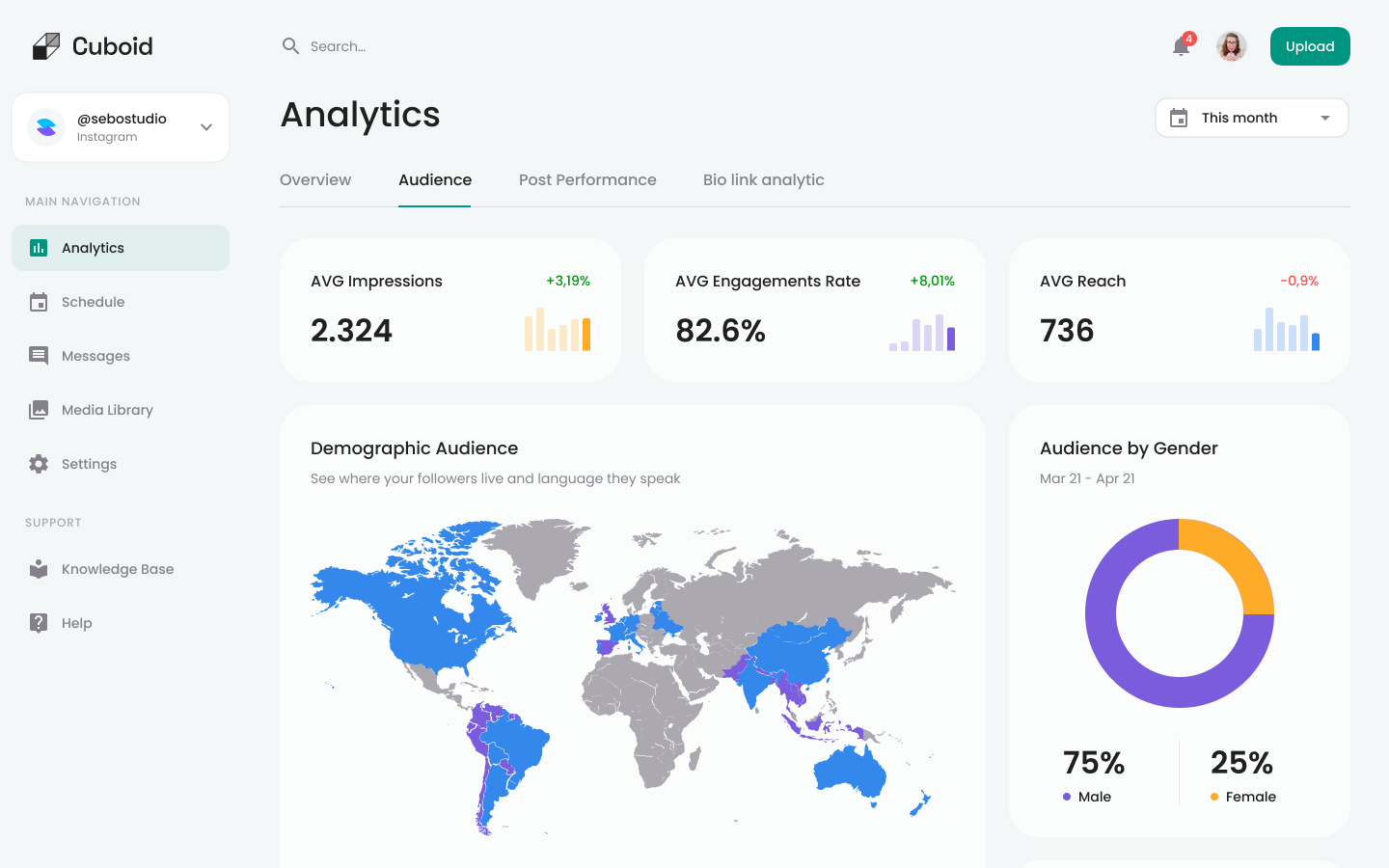 Analytics Audience